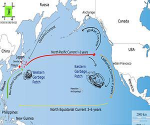Earthquake and Tsunami in Japan