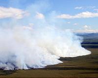As Alaska warms, methane emissions appear stable