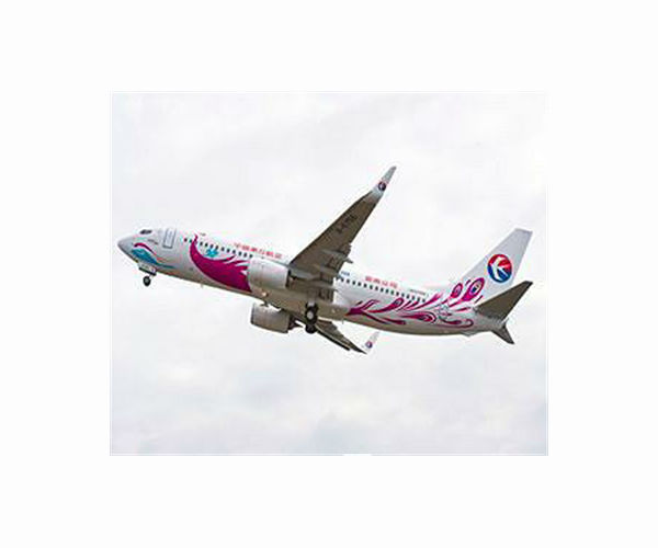 Former head of major Chinese airline under graft investigation