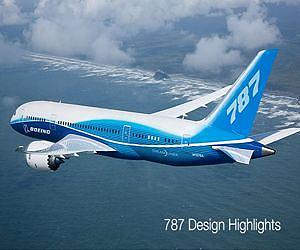 Airlines stand by Dreamliner after Japan groundings