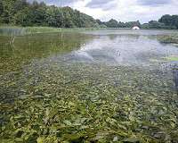 Nutrients and warming massively increase methane emissions from lakes