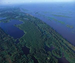 Amazon Basin shifting to carbon emitter: study