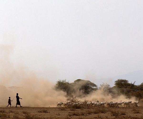 Some in Madagascar 'on verge of starvation': UN
