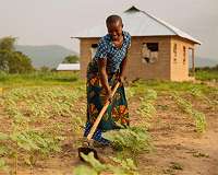 UN and EU say food insecurity worsens as conflicts rage