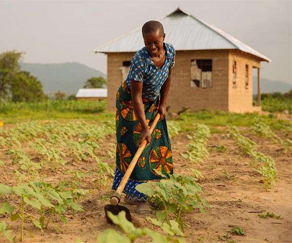 Transforming farming with farmer led experimentation