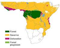 African deforestation not as great as feared