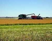 Unease over Chinese investors buying farms Down Under