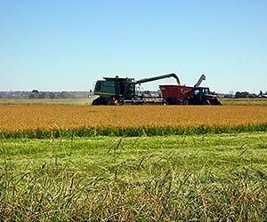 EU freezes approval of GM crops to 2014