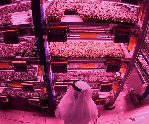 Three technologies poised to change food and the planet