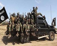 Somali's Shebab wounded but dangerous, unpredictable after chief slain
