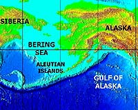 White killer whale sighted in Aleutians