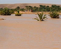 Five killed in fresh floods in Algeria: report