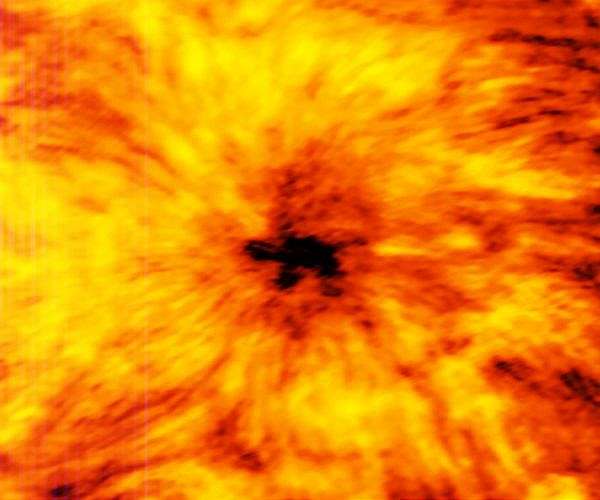 Kepler's 1607 Sunspot Sketches Shed Light on Early Solar Cycles