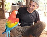 Real-life 'Rio': near-extinct macaws return to Brazil