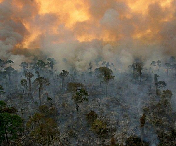 August Amazon fires remain near highs under Bolsonaro