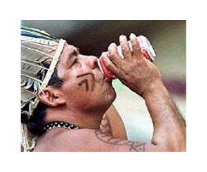 Climate change affects indigenous wisdom
