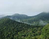 Vicious circle of drought and forest loss in the Amazon