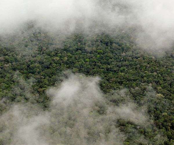 The Amazon rainforest and its role in cloud formation through plant emissions and thunderstorms