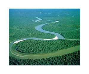 Scientists find underground river beneath Amazon