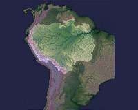 Study reveals dry season increase in photosynthesis in Amazon rain forest