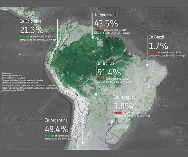 Amazon forests save $2bn in pollution healthcare: study