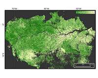 UNH researchers find human impact on forest still evident after 500 years