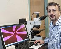 Graphene heat-transfer riddle unraveled