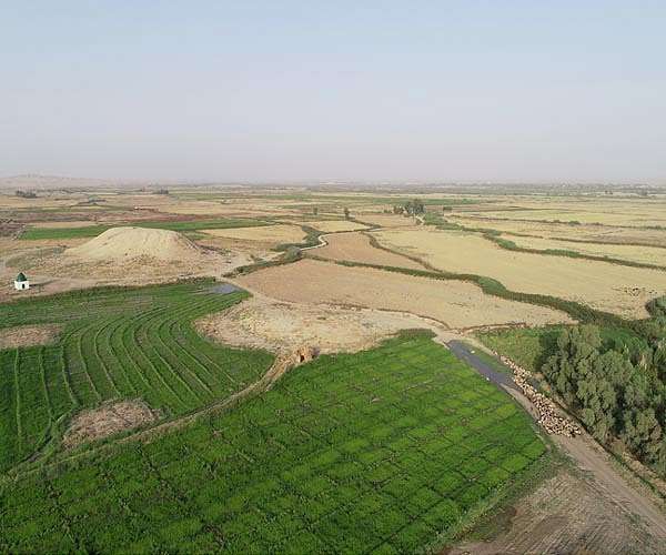 Ancient Mesopotamian discovery transforms knowledge of early farming