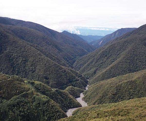 Andean forests have high potential to store carbon under climate change