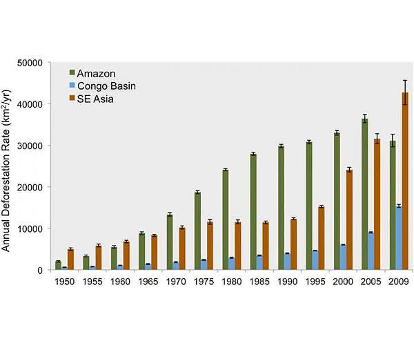 Major firms not doing enough to curb deforestation: report