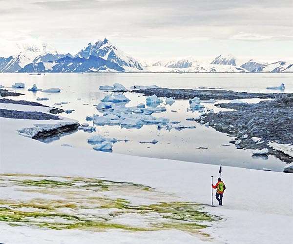 Antarctic vegetation expanding rapidly in response to climate change