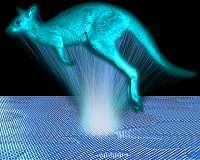Most primitive kangaroo ancestor rediscovered after 30 years in obscurity