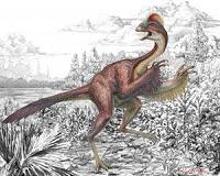 Scientists ID new 'missing link' species between dinosaurs, birds