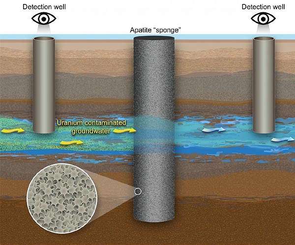 Using a mineral 'sponge' to catch uranium