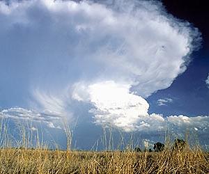 No Longer Pining For Organic Molecules To Make Particles In The Air