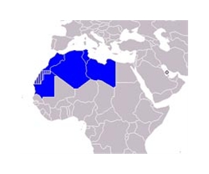 Sahel armies on alert as Libya crisis threatens region