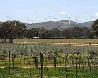 Green shoots for Aussie renewables as Ararat Wind Farm moves ahead