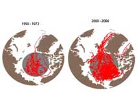 NASA Study Finds Rising Arctic Storm Activity Sways Sea Ice And Climate