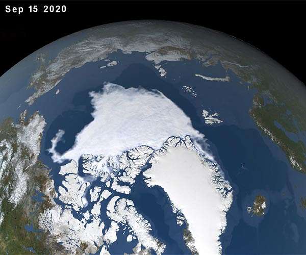 Climate change driving marine species poleward
