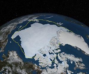Good news for Arctic, as sea ice volume up by half