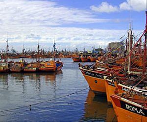 Potential harvest of most fish stocks largely unrelated to abundance