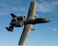 Air Force Thunderbolt hits bird, drops three dummy bombs over Florida