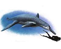 New species of bus-sized fossil marine reptile unearthed in Russia