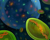 The Search for Our Own Alien Life