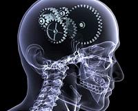 How insights into human learning can foster smarter artificial intelligence