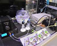 NYU researchers pioneer machine learning to speed chemical discoveries, reduce waste