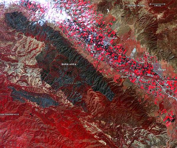 Drought and Wildfires: A dual challenge for ecosystem recovery