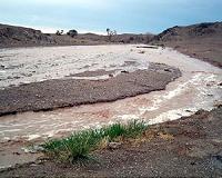At least 8 killed in Iran flash flooding: state TV