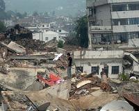 China using animals to predict earthquakes: report