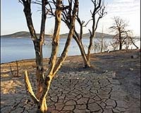 Australian drought pushes up price of beer